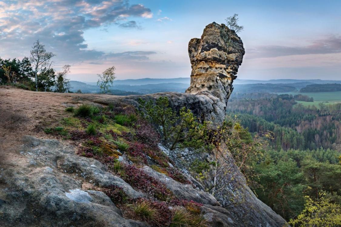 Hlucov Lesni Chalupa Kokorin Exterior foto