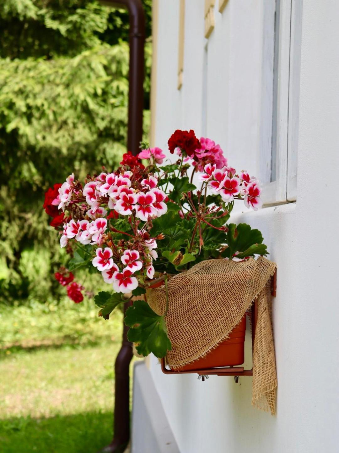 Hlucov Lesni Chalupa Kokorin Exterior foto